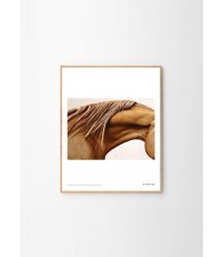 Fotografia artystyczna Muscle Memory Kinfolk, The Poster Club