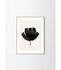 Plakat / Grafika Ink Drawing Ana Frois, The Poster Club