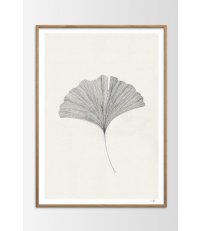 Plakat / Grafika Ginkgo Leaf Ana Frois, The Poster Club