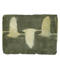 Plakat / Grafika J&ouml;rgen Hansson Swans, The Poster Club