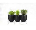 Donica Urban Garden Authentics - Ø 9 cm, czarna zieleń