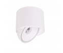Lampa sufitowa Vector C0265 Maxlight - biała