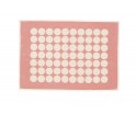 Pled FIA Pappelina - piglet