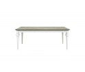 Stół DECO MILONI - wybarwienie gray