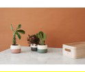 Doniczka na kwiaty PLANT-IT RIG-TIG - misty rose