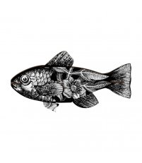 Dekoracja Ryba Vertigo MIHO